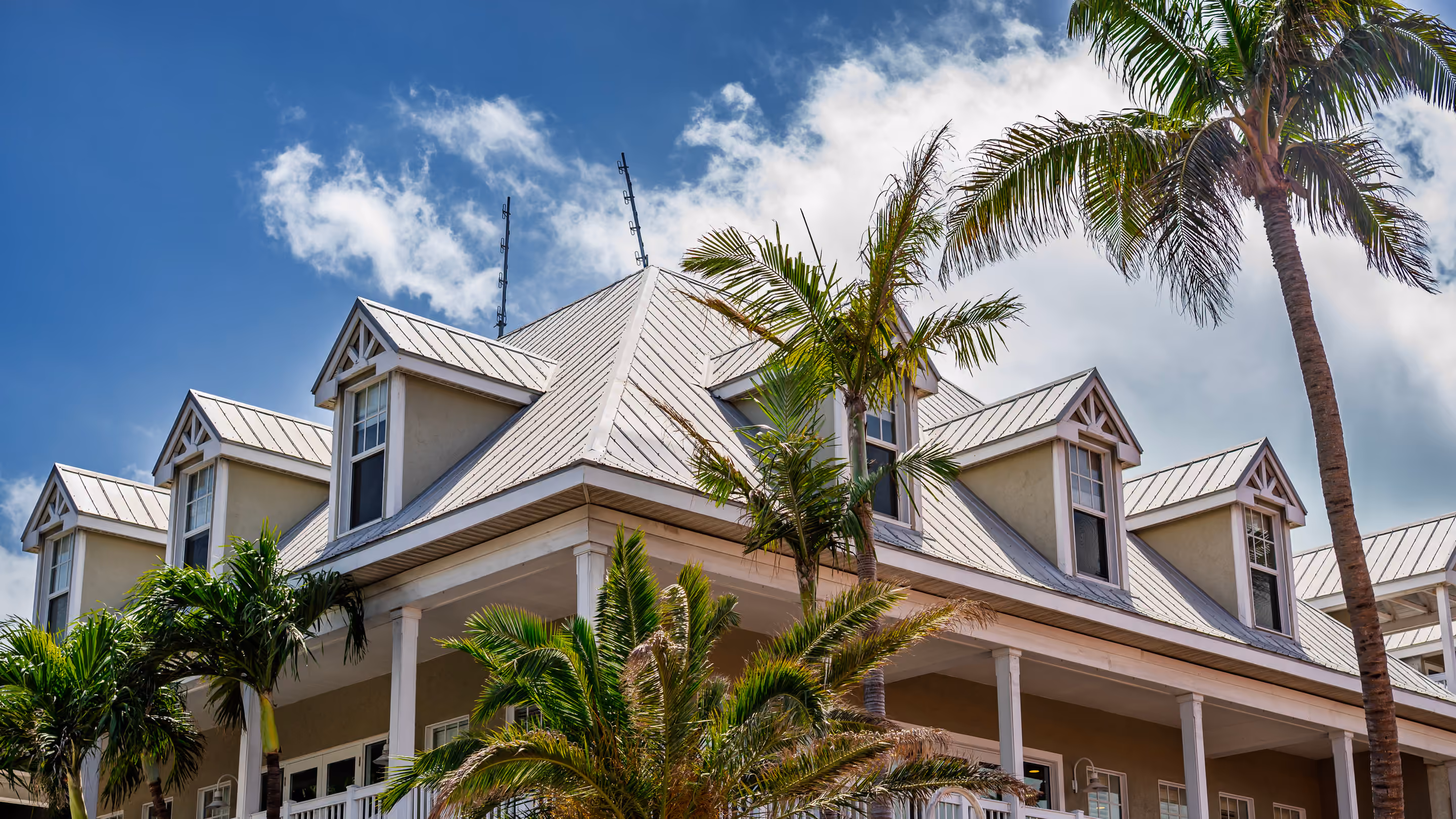 A silver metal roof with a row of dormers, seen from the ground with palm trees in front of it and white clouds in a blue sky